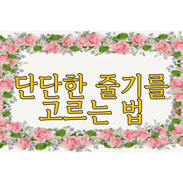 img.webp