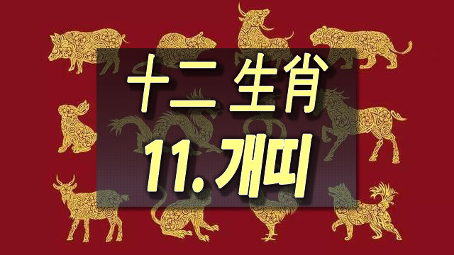  [평생 운세] "태어난 연도"별 운명 - 11. 개띠