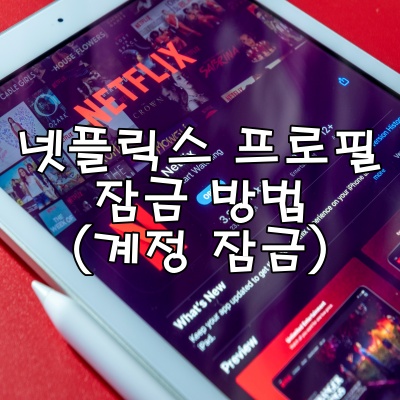 넷플릭스 프로플 잠금 방법(계정 잠금)
