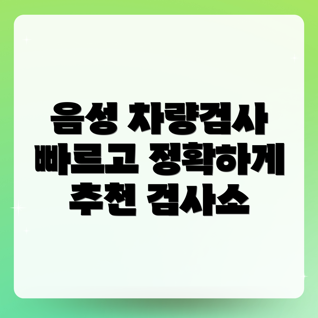 음성군 차량 검사