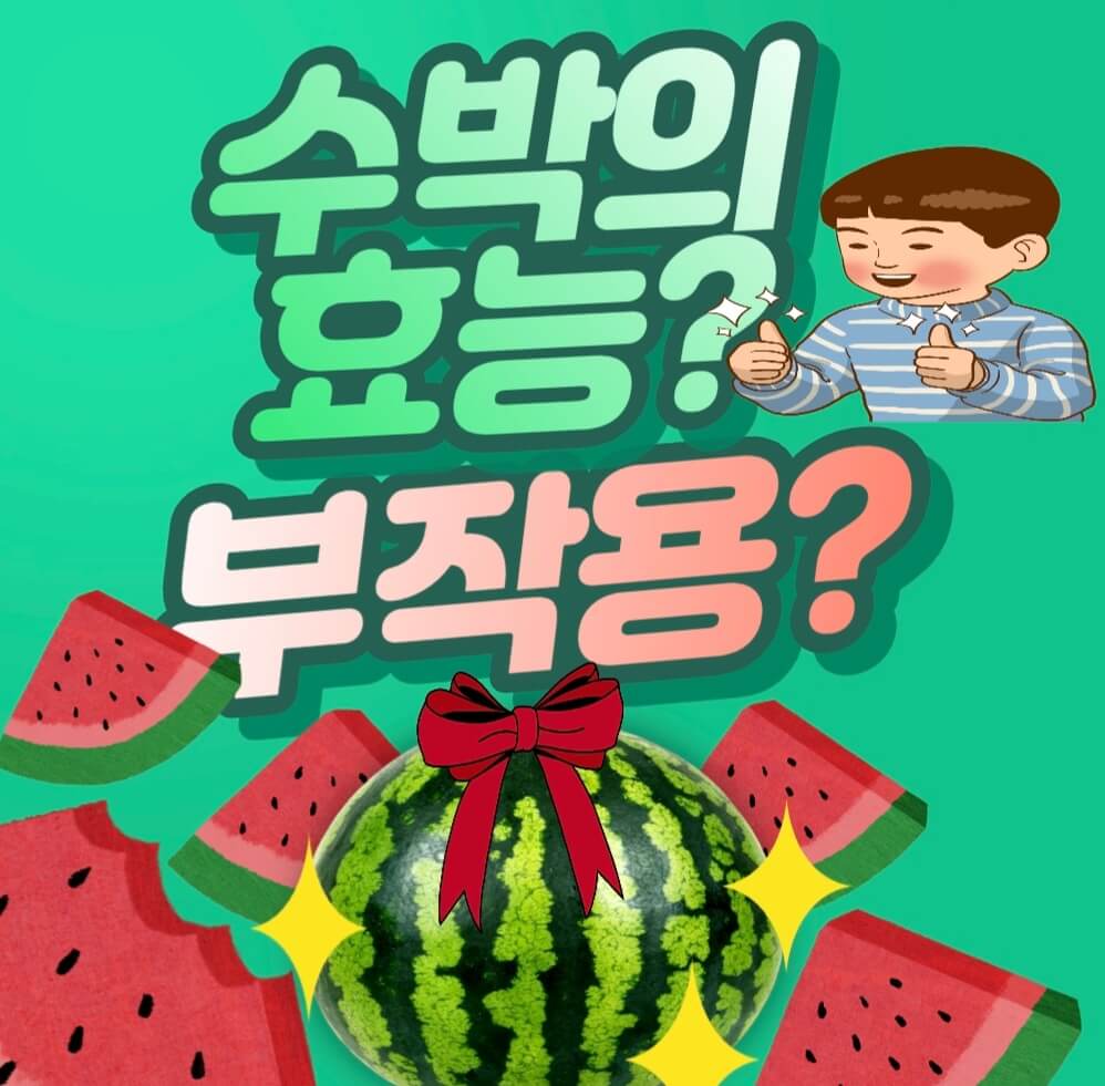  수박 효능? 부작용?