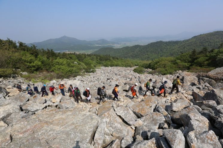 해남절임배추