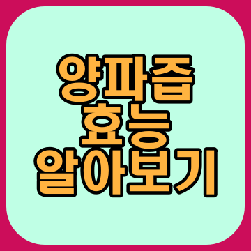  양파즙 효능 집중분석