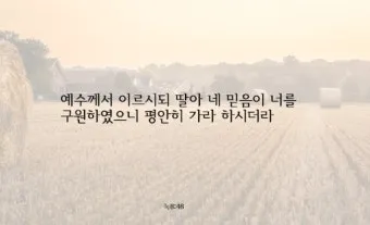 매일 성경 묵상 누가복음 8장 씨뿌리는 자_11