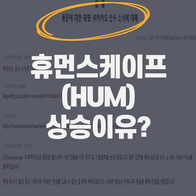  휴먼스케이프 카카오?? 상승 이유 및 전망