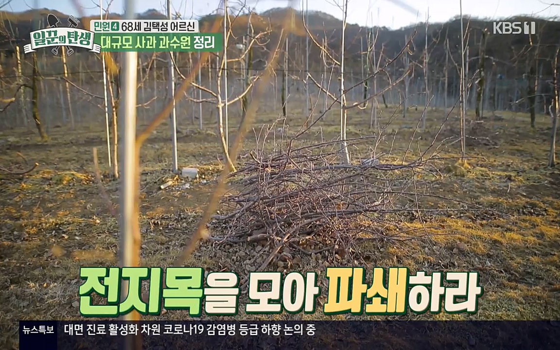 일꾼의 탄생.E17.220331p-NEXT.mp4_20220331_181523.952.jpg