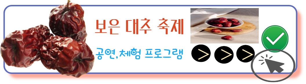 보은대추축제 체험프로그램