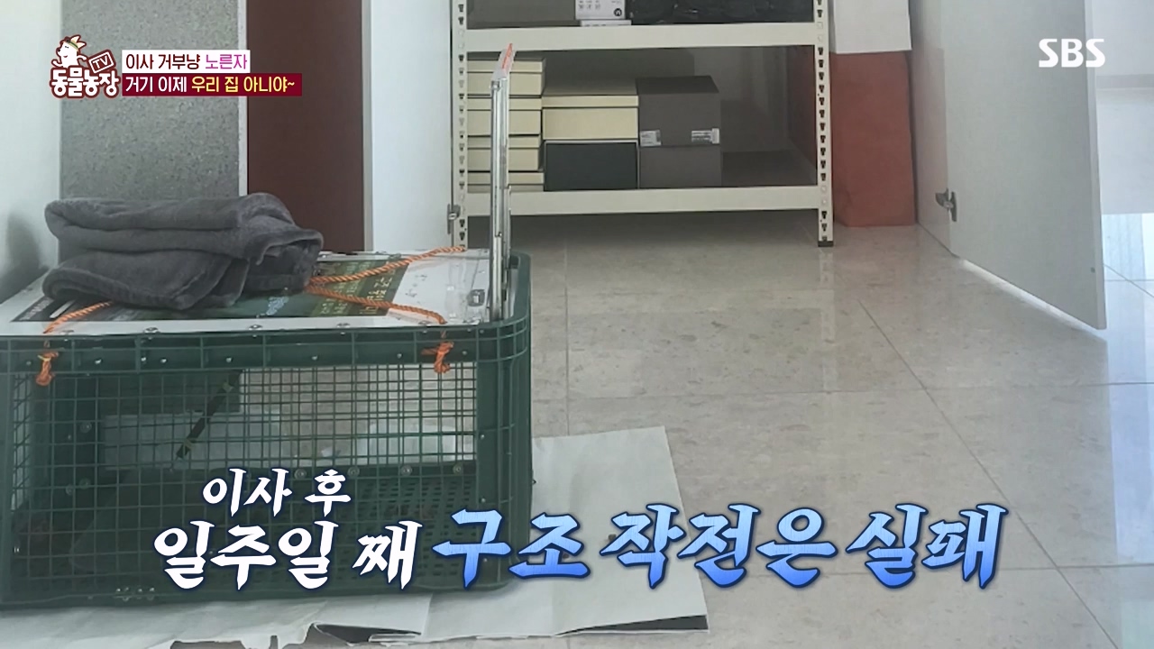TV 동물농장.E1152.231232p-NEXT.mp4_20231231_172008.873.jpg
