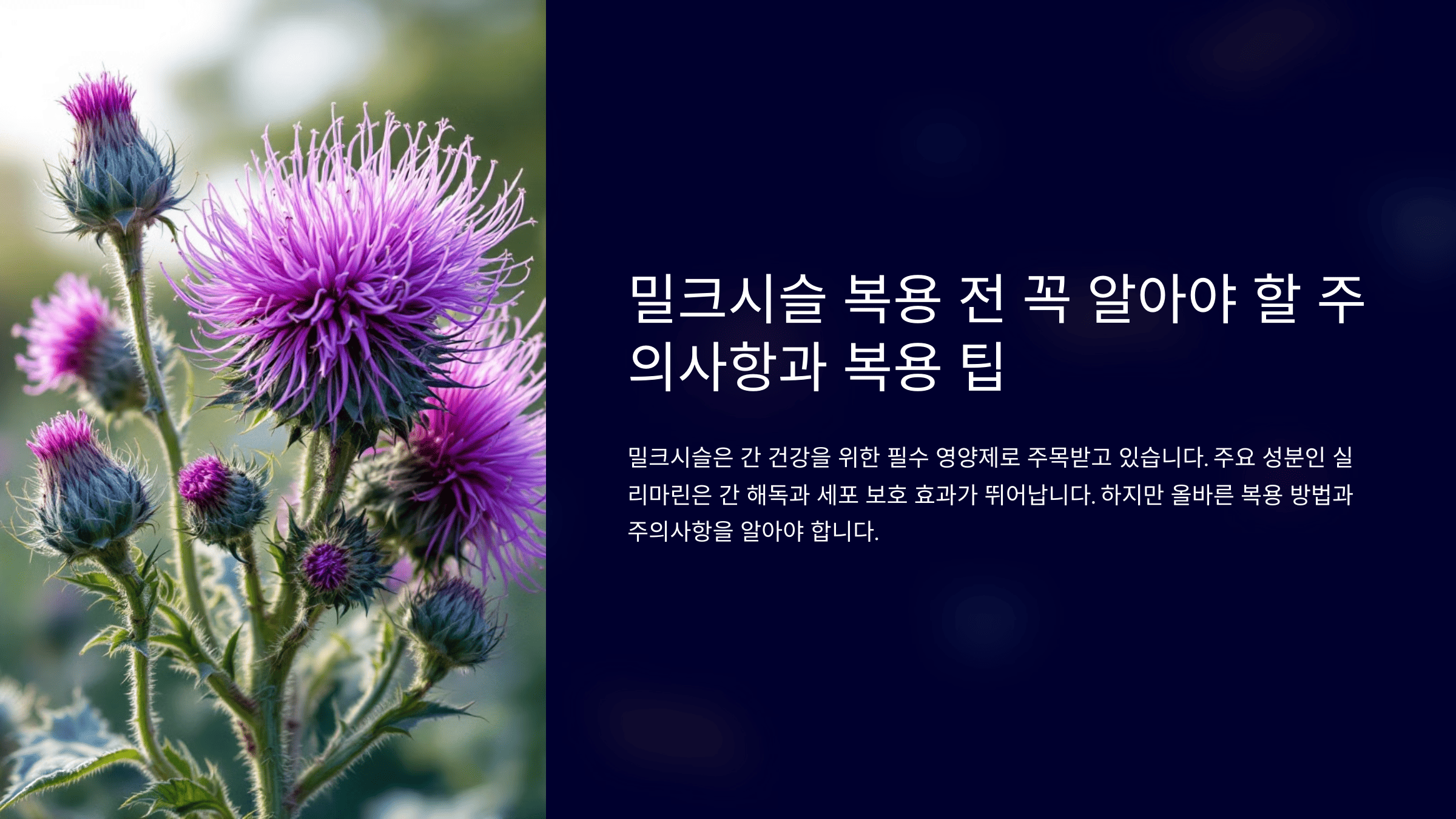 밀크시슬 복용 전 알아야 할 것들