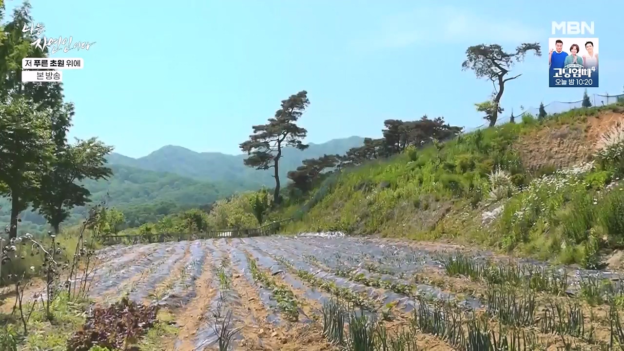 나는 자연인이다.E607.240530p-NEXT.mp4_20240530_200518.752.jpg