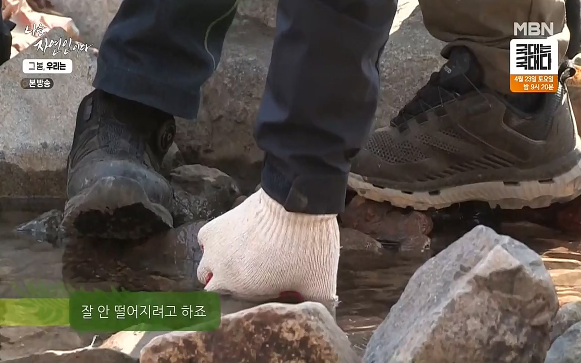 나는 자연인이다.E498.220421p-NEXT.mp4_20220421_184106.288.jpg