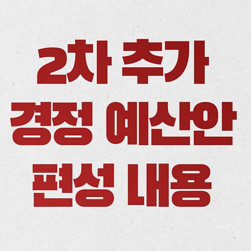  2차 추가경정예산, 코로나 피해 지원 3종 패키지 어떻게 쓰이나?