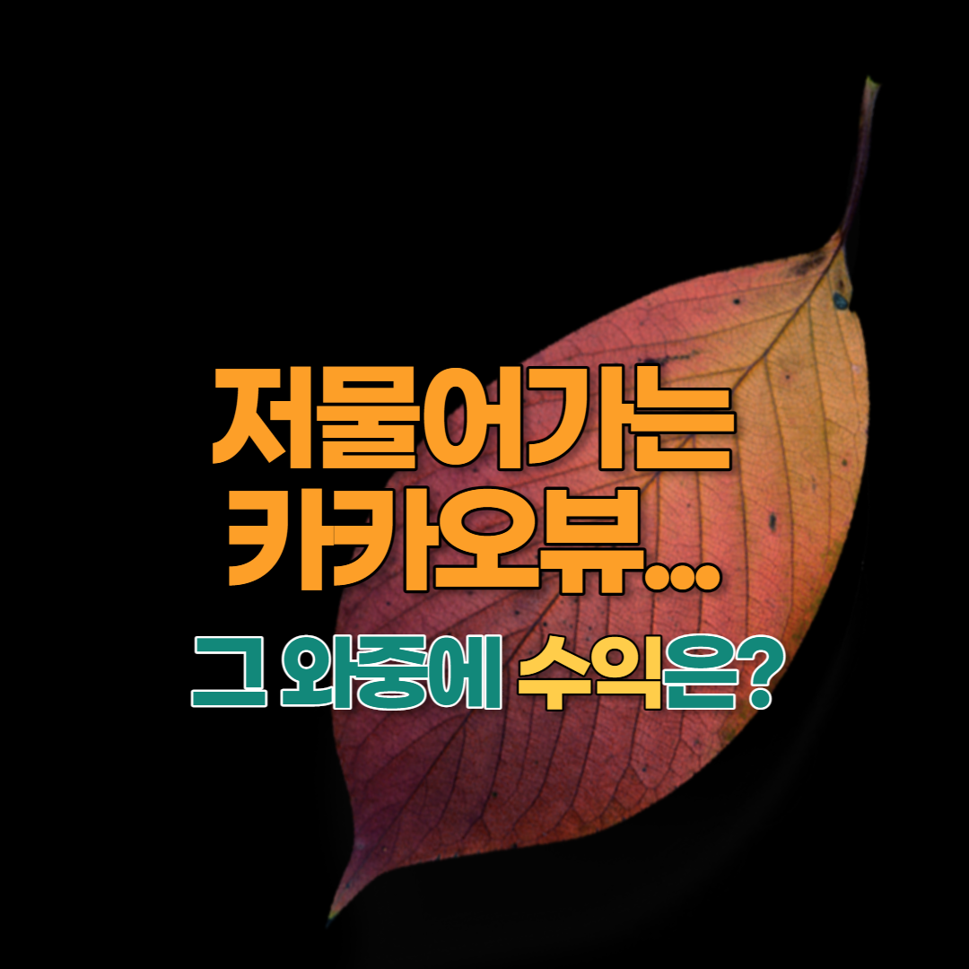  카카오뷰 수익 - 저물어가는 와중에 수입이 짭짤하니 씁쓸하다