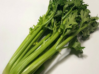 샐러리 효능 10가지 25