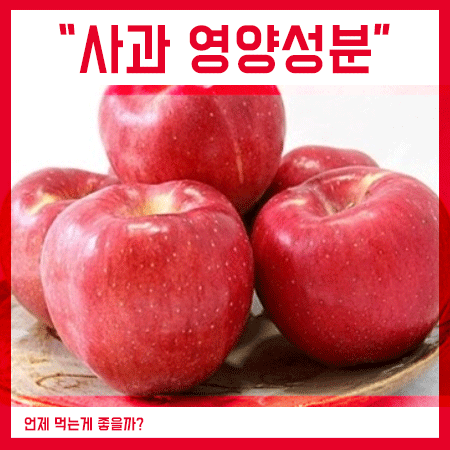  사과 영양성분 및 효능 아침? 밤? 어떤게 좋을까?