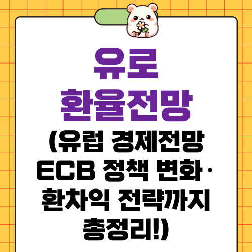유로 환율전망