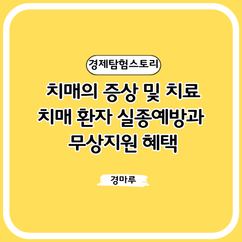  치매의 증상 및 치료, 치매 환자 실종 예방과 무상지원 혜택