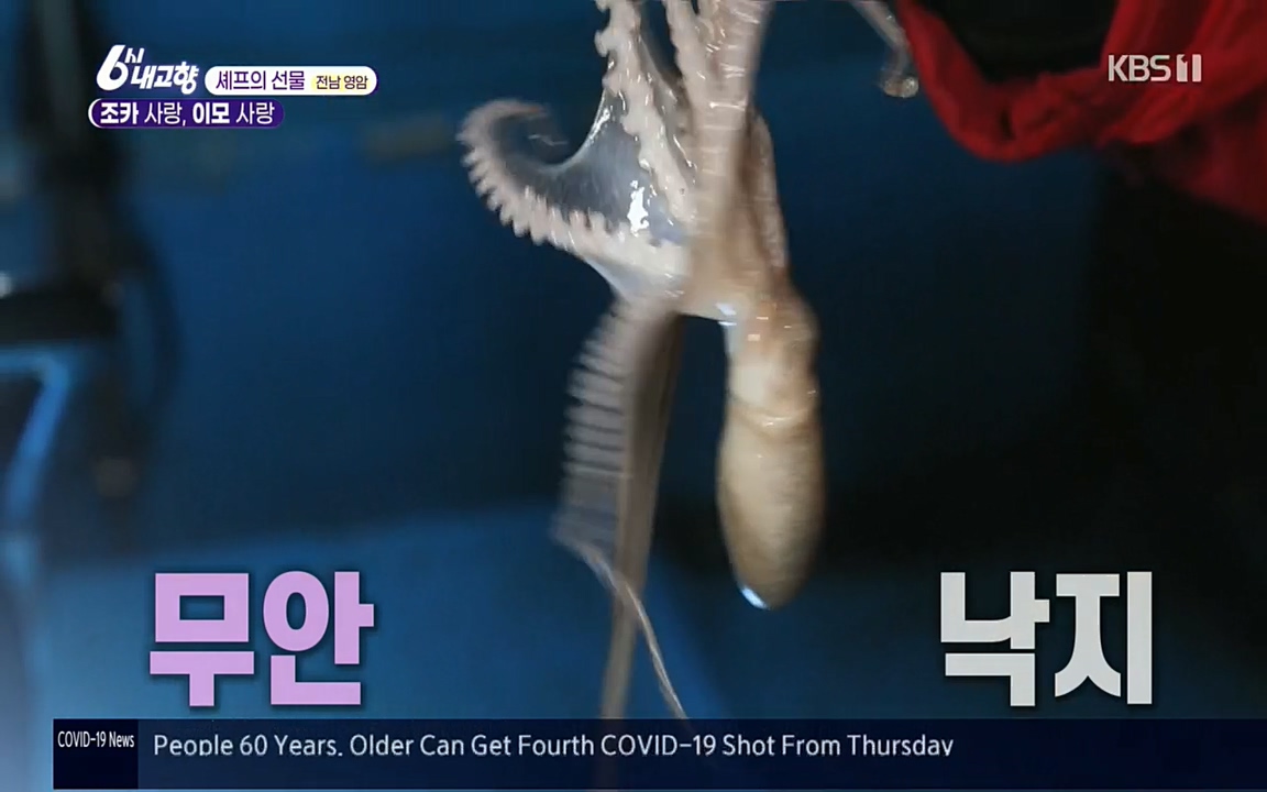 6시 내고향.E7512.220416p.H264-F1RST.mp4_20220502_193719.413.jpg