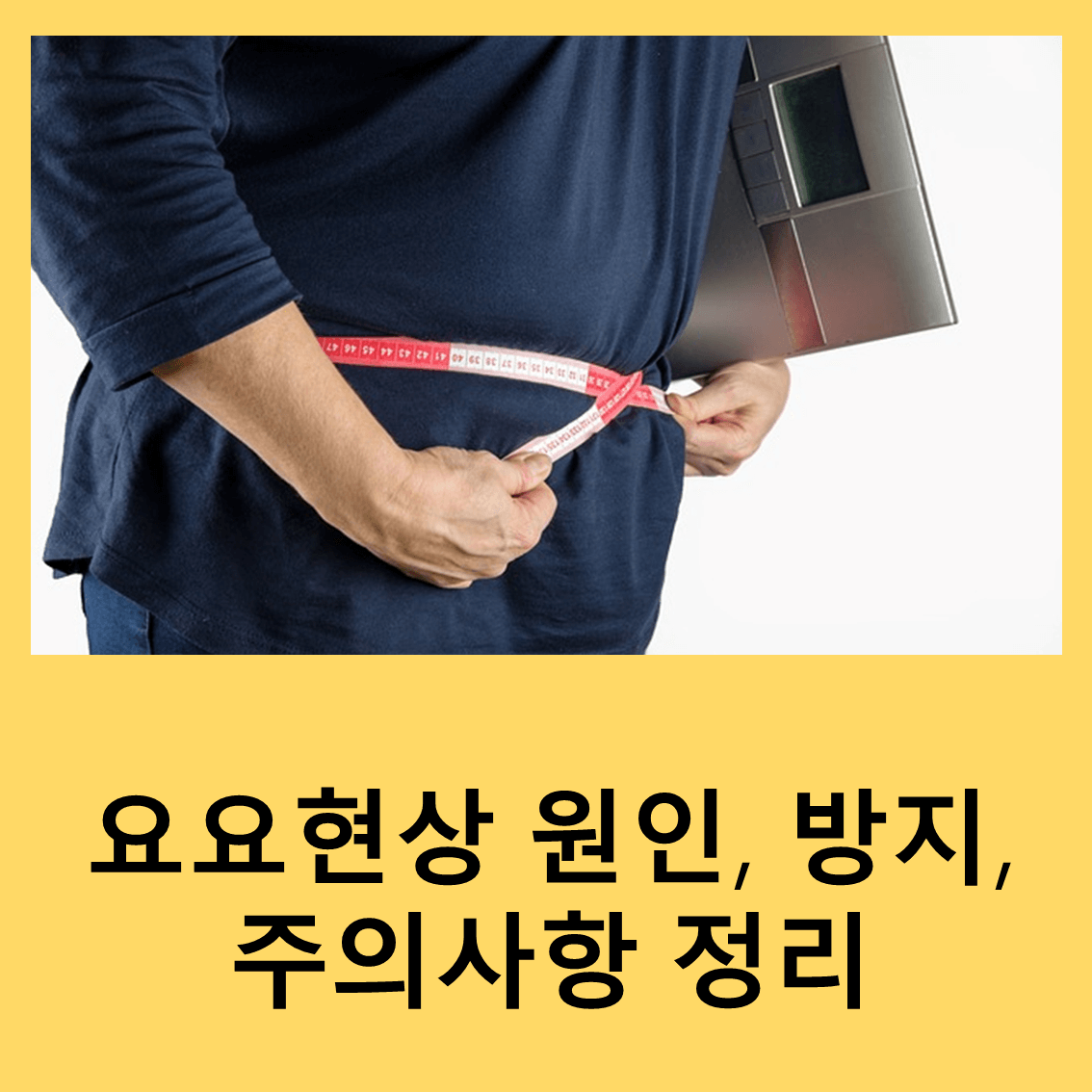 요요현상