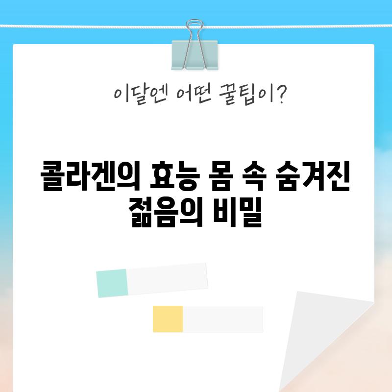 콜라겐의 효능: 몸 속 숨겨진 젊음의 비밀?