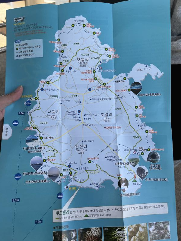 제주도 우도 전체 지도