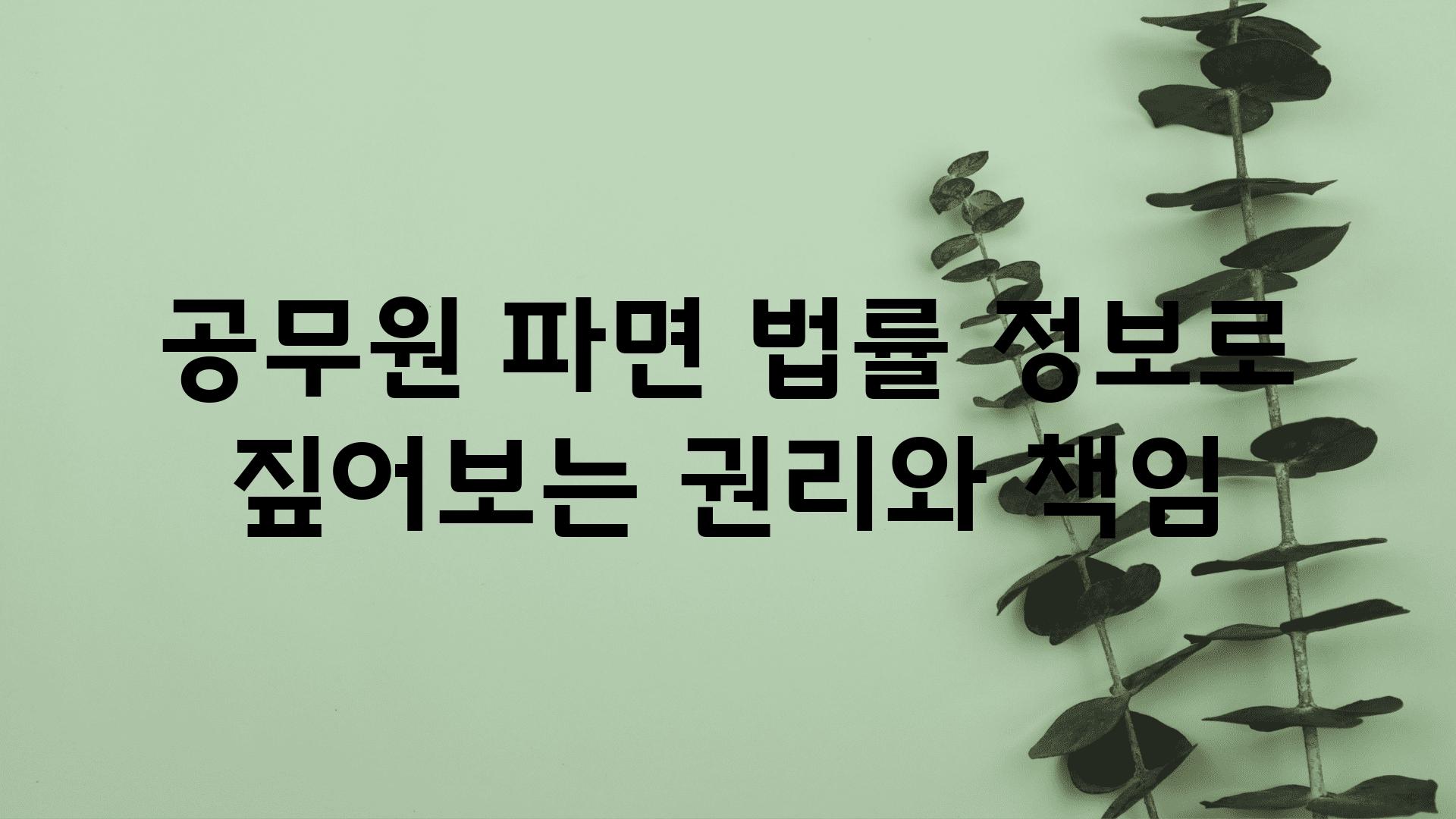 공무원 파면 법률 정보로 짚어보는 권리와 책임