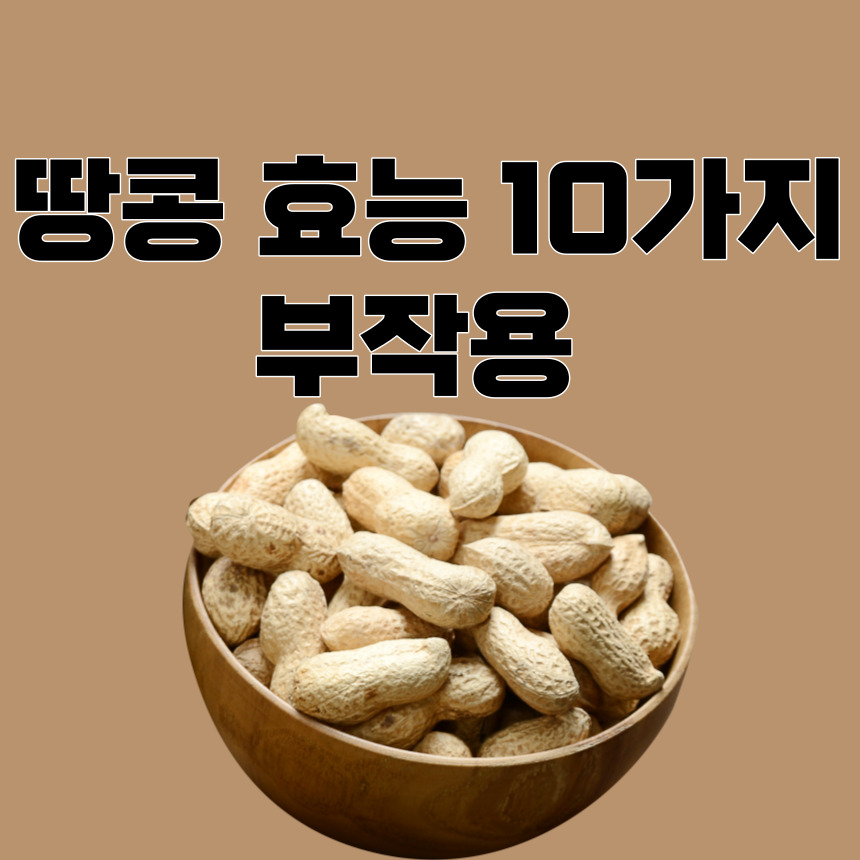 땅콩 효능