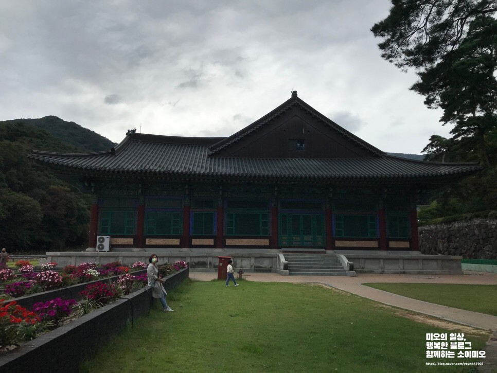 경북 김천 천년고찰 직지사, 붉은 꽃무릇이 활짝 핀 여행 - undefined - 동국제일가람황악산문 경북 김천 천년고찰 직지사, 붉은 꽃무릇이 활짝 핀 여행 - undefined - 동국제일가람황악산문