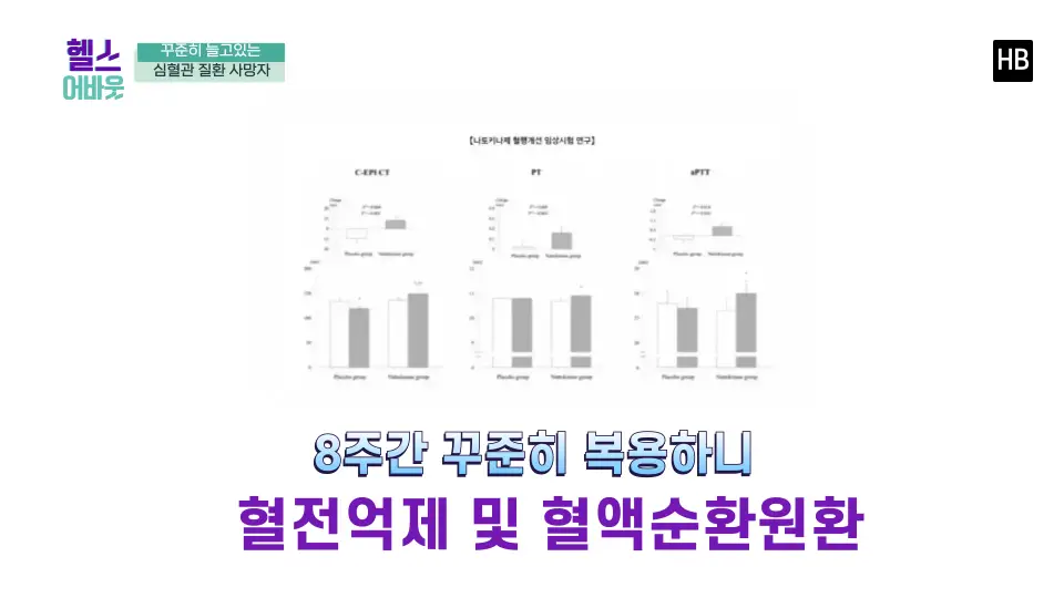 혈전용해제 나토키나제