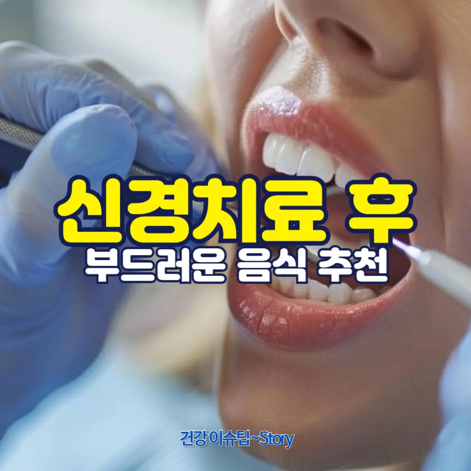 신경치료 받는 중에 먹기 편한 건강한 음식