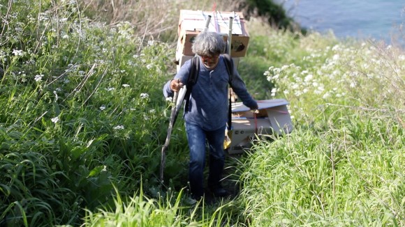 동물극장 절친 이용오 반려견, 동해, 동해, 동해, 자연제작, 아일랜드 위치 19차 동물극장 절친 황도, 동해, 동해, 아일랜드 블루스 촬영지 6월 4일 5