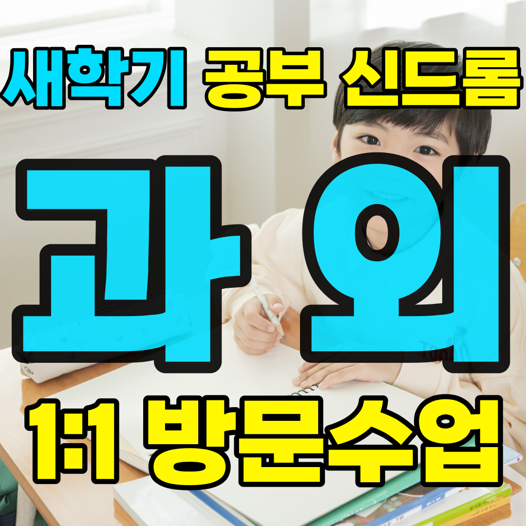  김제 초등학생 수학과외 중등 고등 검산동 영어과외 일대일과외 맞춤수업 전과목 시험대비 내신관리