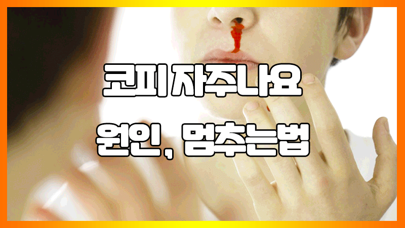  코피 멈추는 방법 : 코피가 자주나는 원인