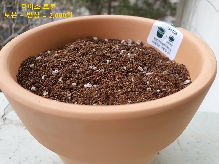 토분에 상토