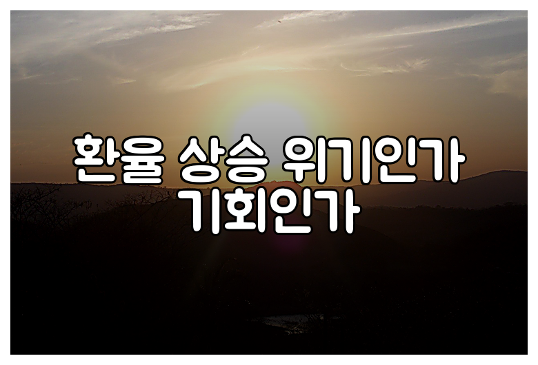 환율 상승 위기인가 기회인가
