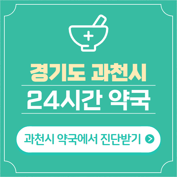  과천시 24시간 약국 찾기 | 휴일 야간 심야 일요일 당번약국 3곳