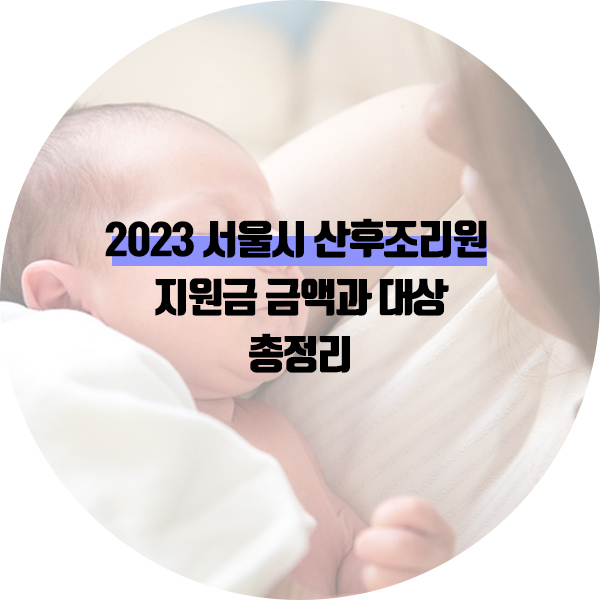 서울시 산후조리원 지원금