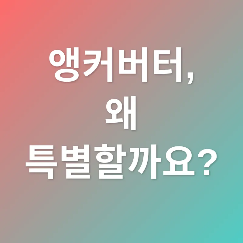 앵커버터_1