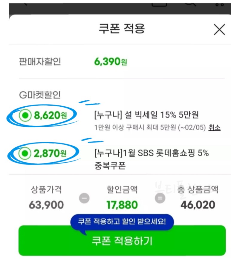 쭈꾸 이미지