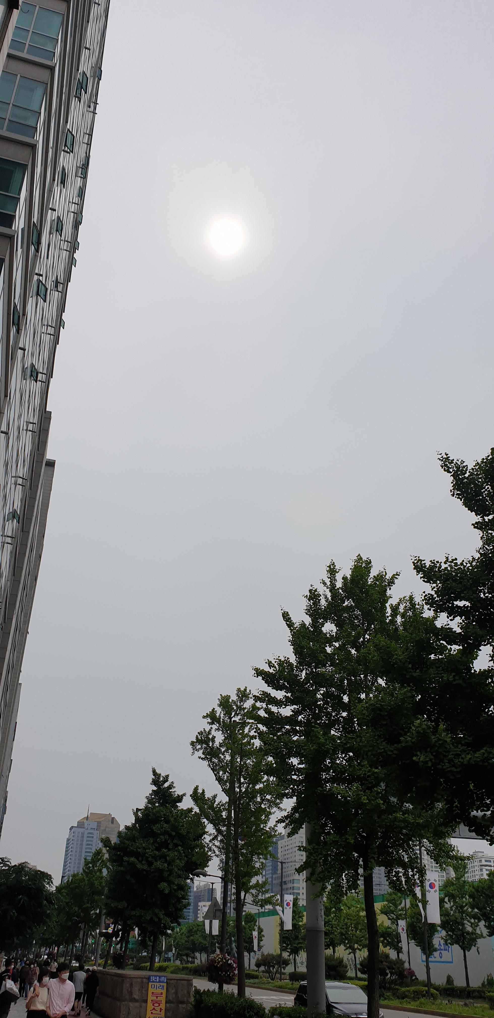  2021년 5월23일 부산날씨 /서울날씨 / 오늘부산날씨 / 오늘맑음 / 오늘부산날씨 / 부산황사 /내일부산날씨/서울내일날씨/전국황사/오늘황사