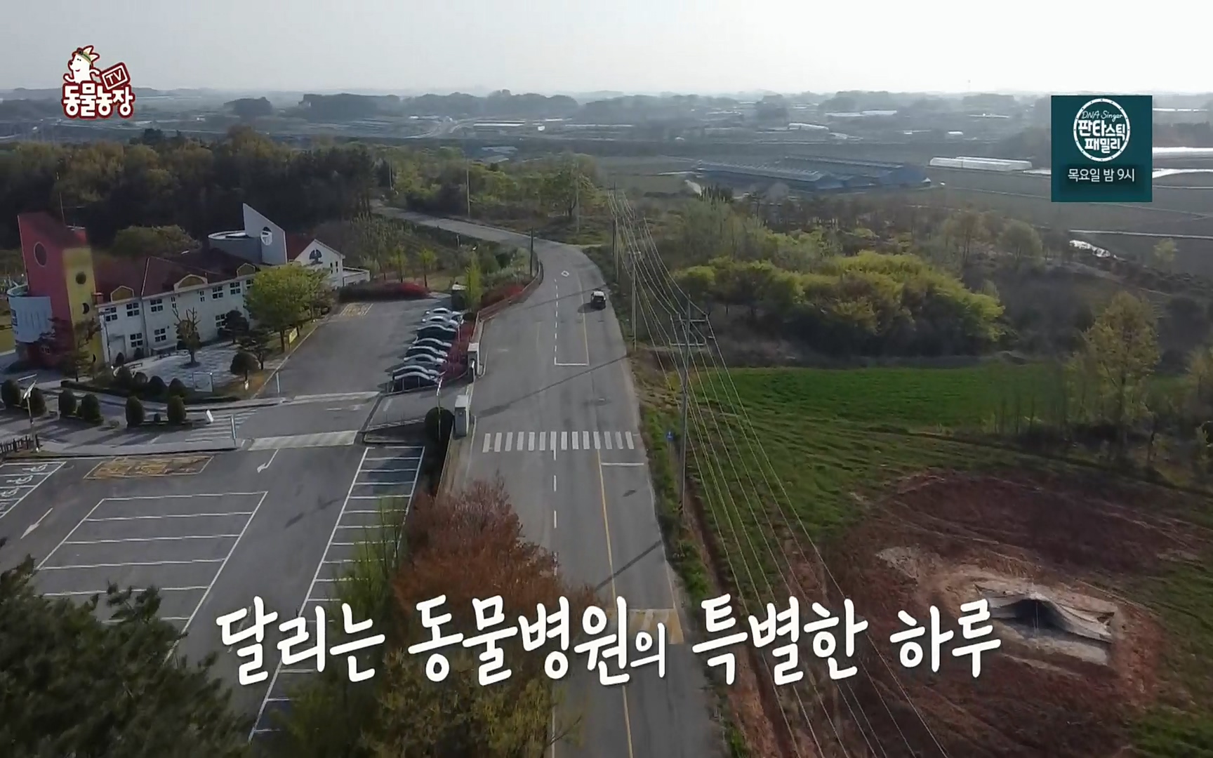 TV 동물농장.E1069.220515p.H264-F1RST.mp4_20220515_175846.653.jpg