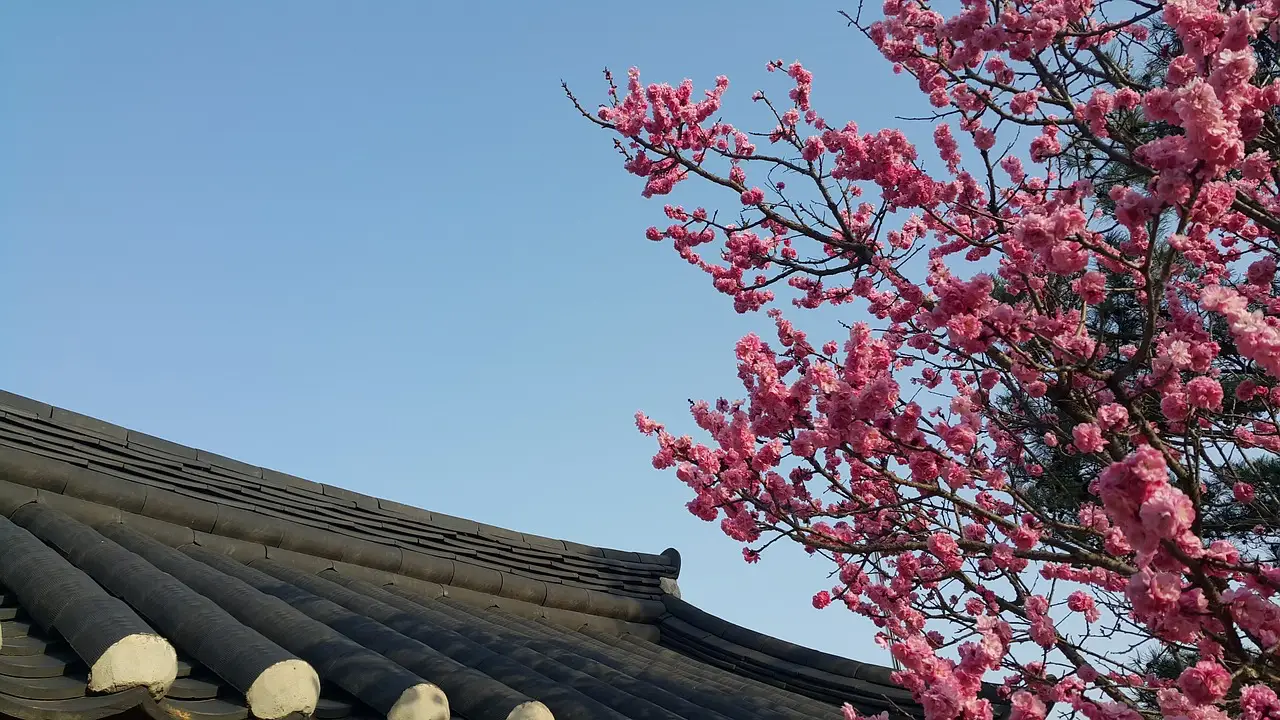 강릉