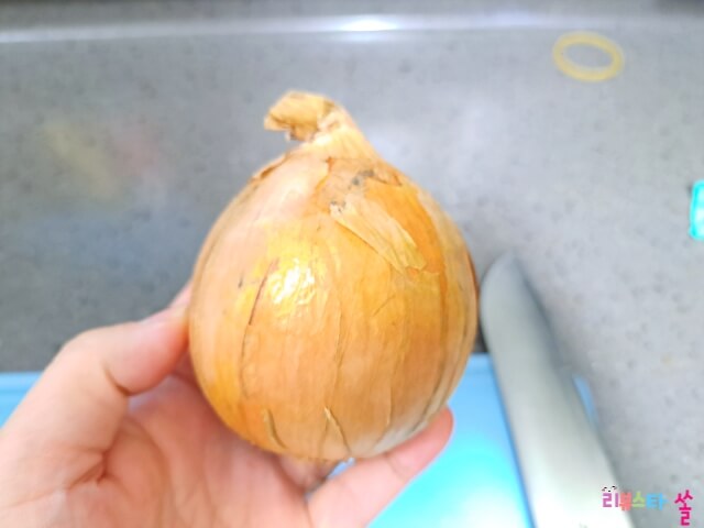  아직도 양파껍질을 음식물쓰레기에 버리신다고요??