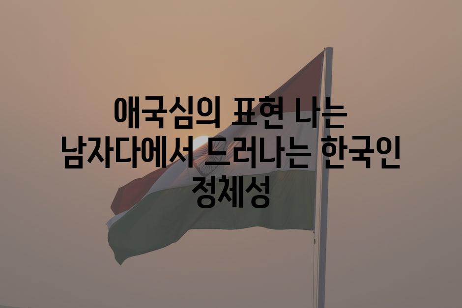 애국심의 표현 나는 남자다에서 드러나는 한국인 정체성