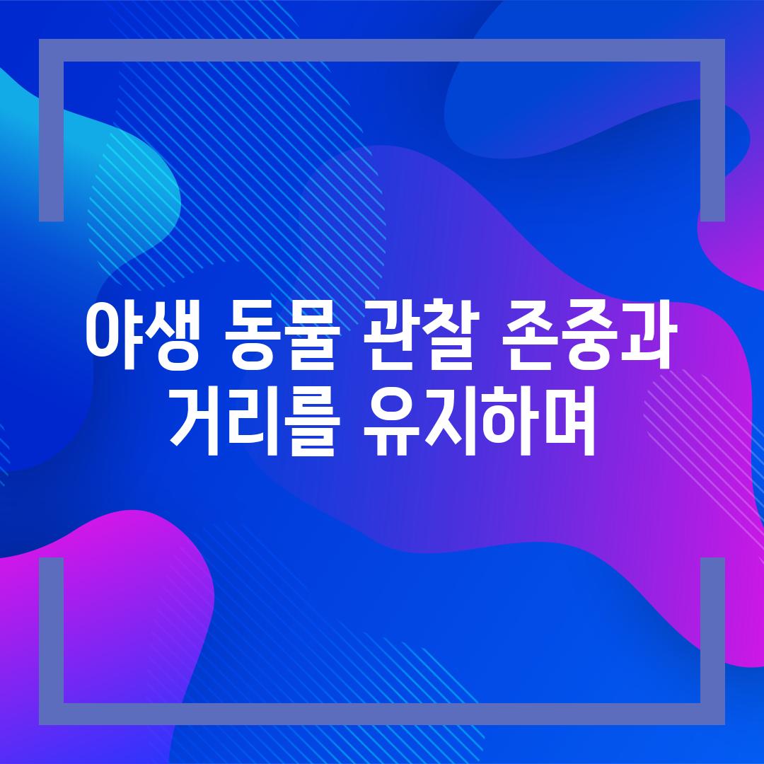 야생 동물 관찰 존중과 거리를 유지하며