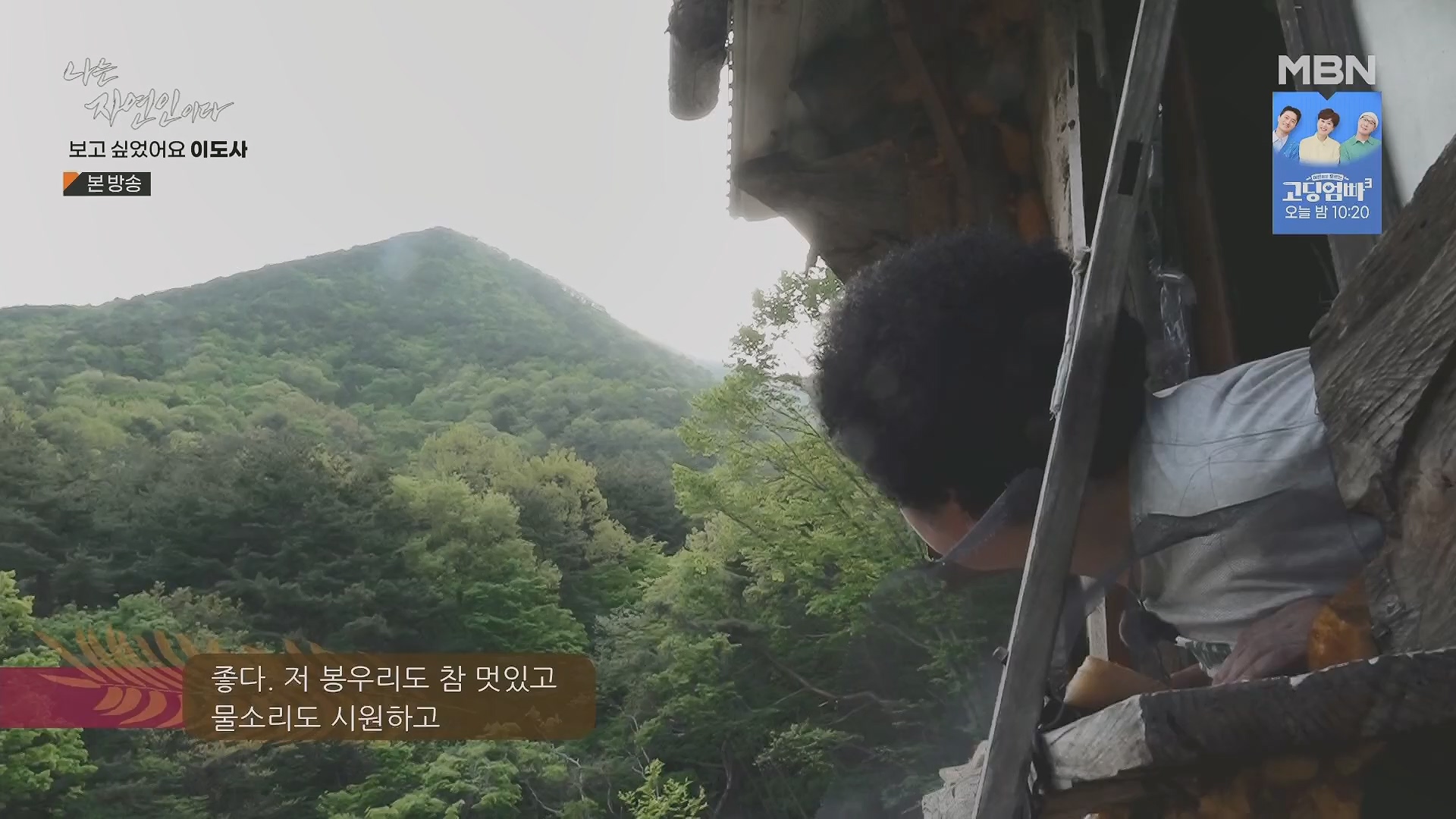 나는 자연인이다.E553.230510p.H264-F1RST.mp4_20230511_195233.772.jpg