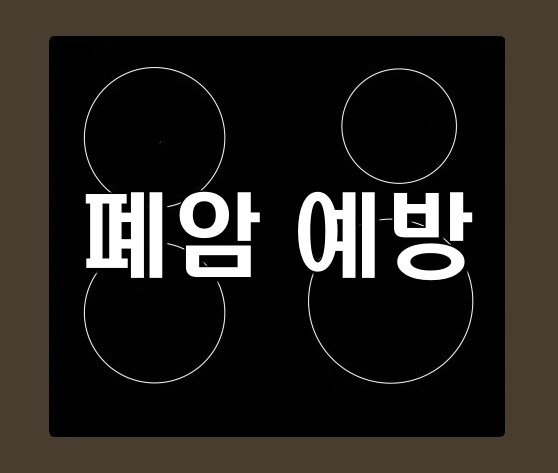  폐암 예방 - 가스레인지보다 인덕션