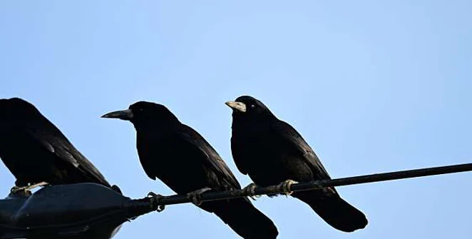 황산공원