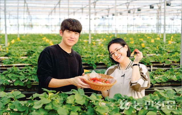 베트남명성 이미지
