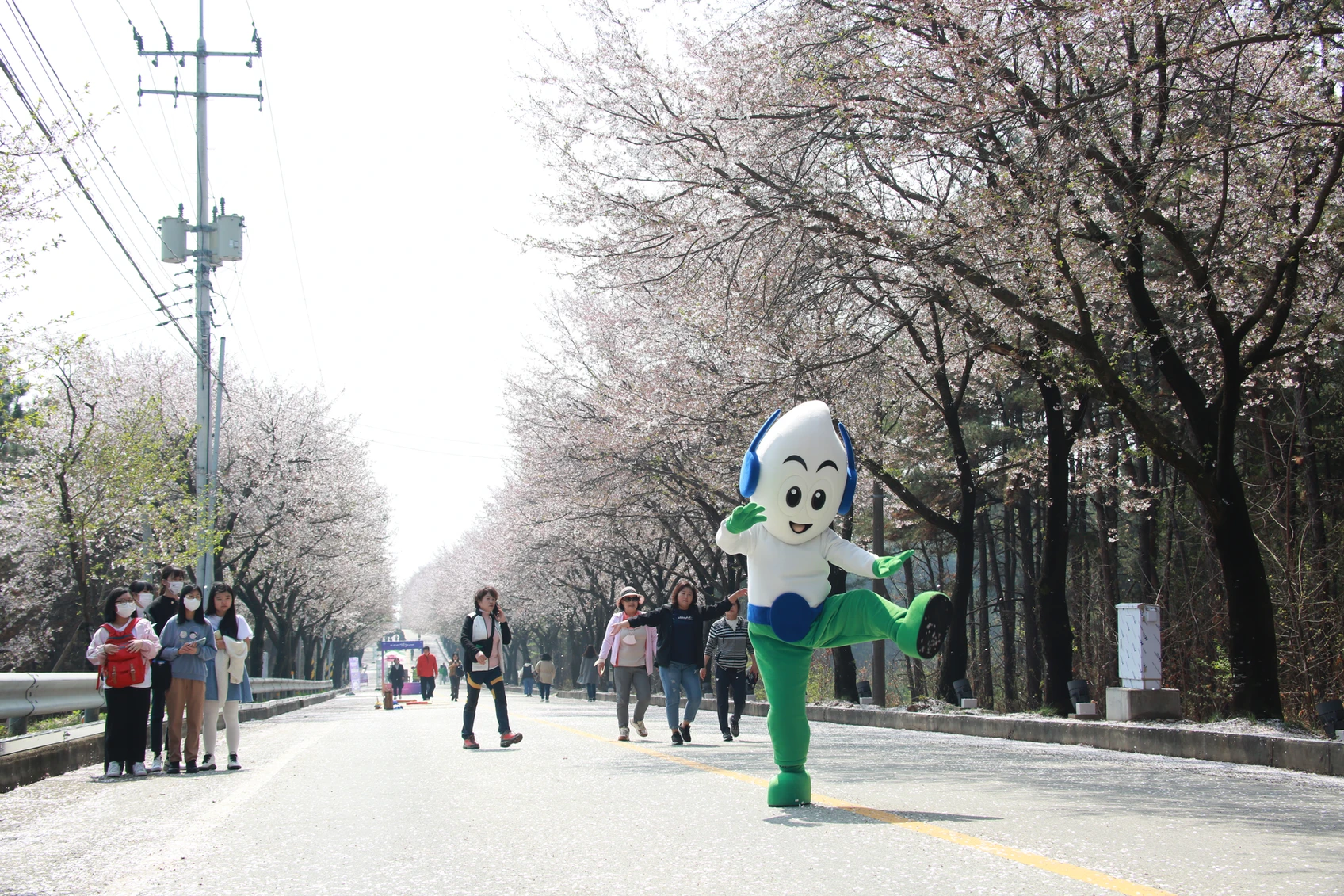 여주흥천남한강 벚꽃축제